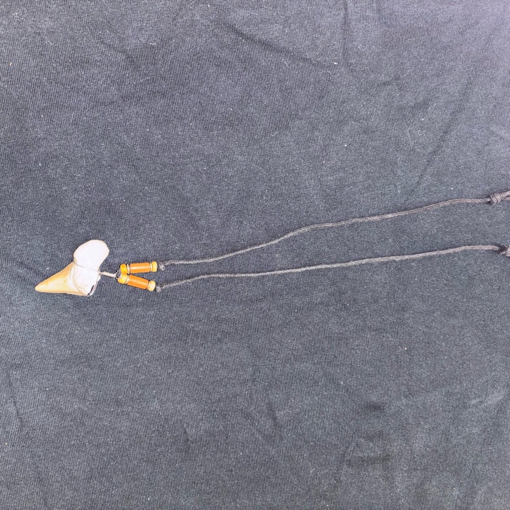 Unique Shark tooth Pendant Necklace with Black Cord
